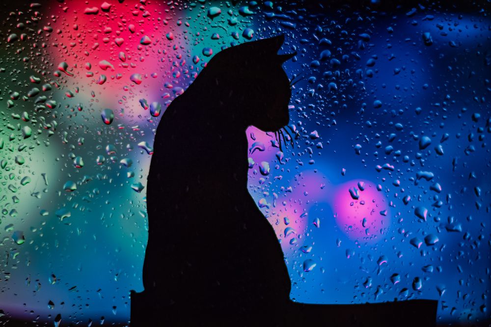 Photograph by Юлия Мулданин