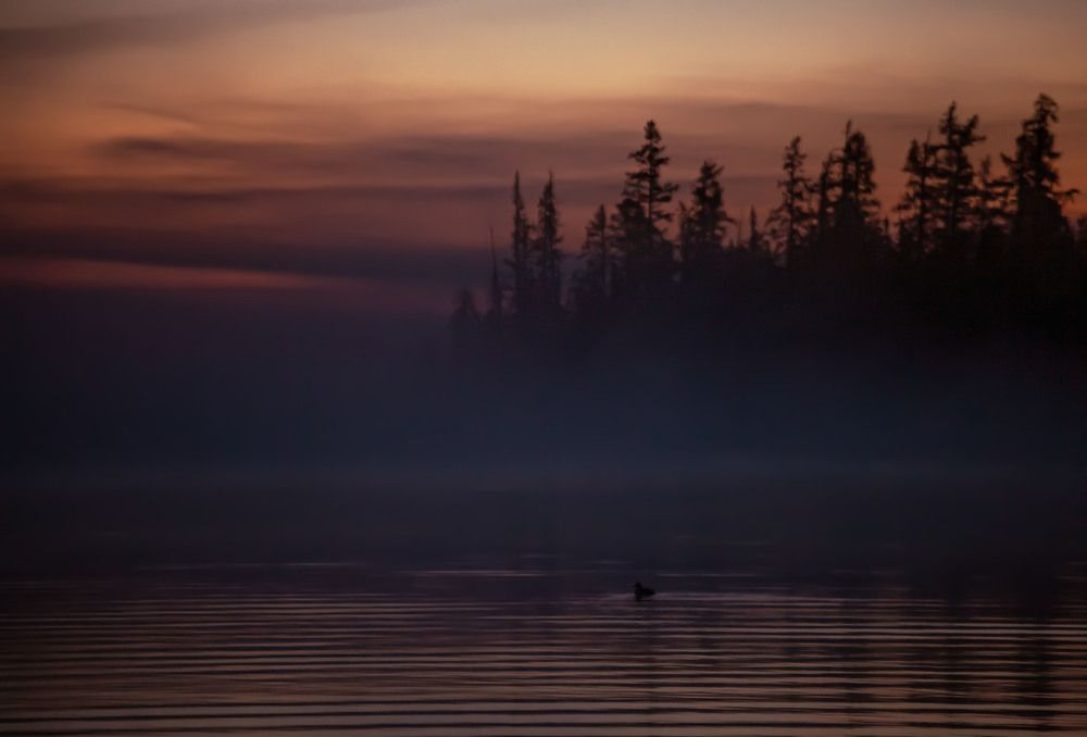 Photograph by Ксения Никифорова