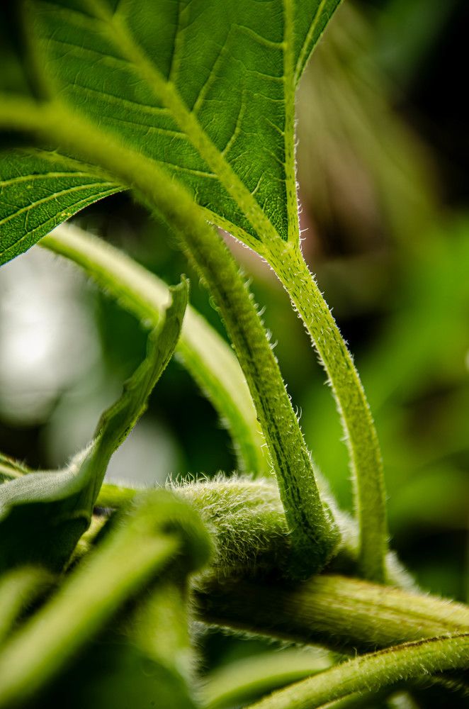 Фотография автора Анастасия Бондарь