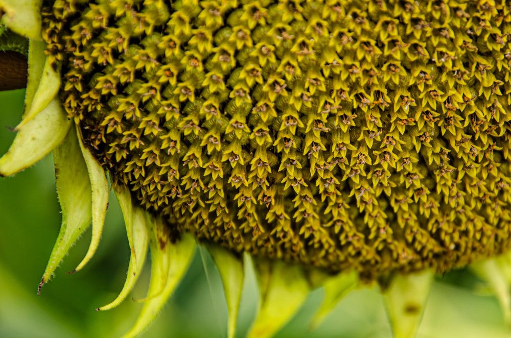 Фотография автора Анастасия Бондарь