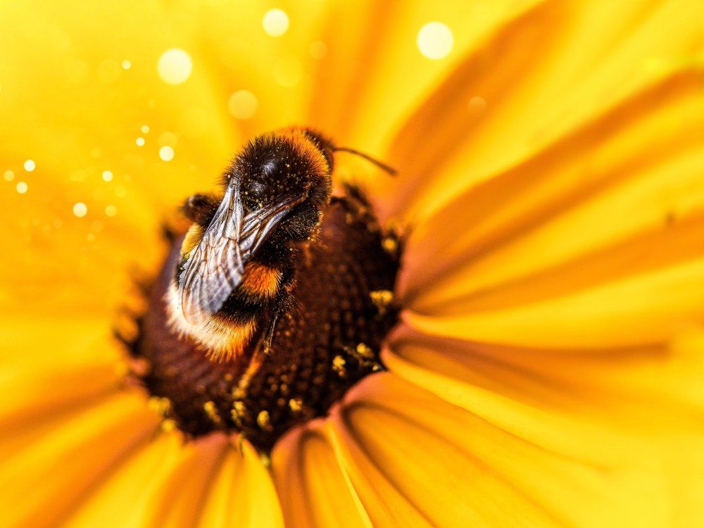 Photograph by Татьяна Рогожа