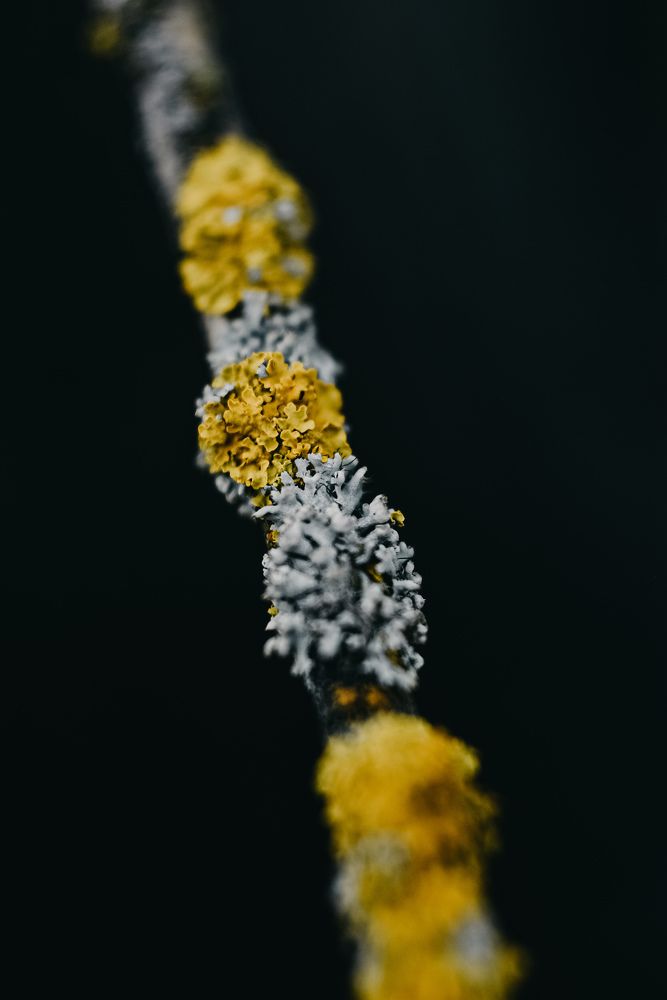 Photograph by Королева Екатерина