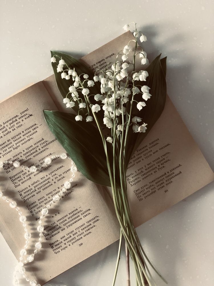 Photograph by Ольга