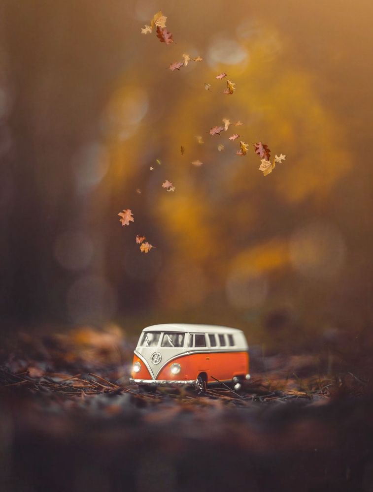 Фотография автора Татьяна Рогожа