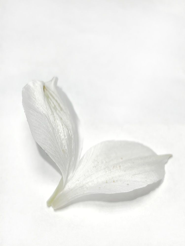 Photograph by Елена Акимова