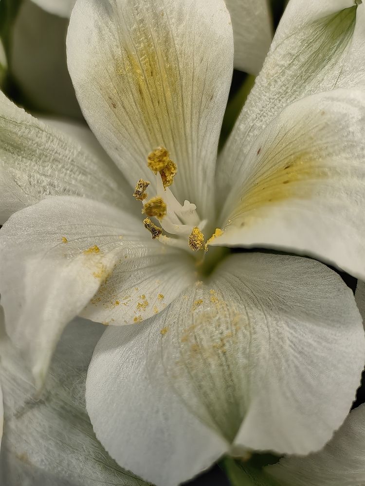 Photograph by Елена Акимова