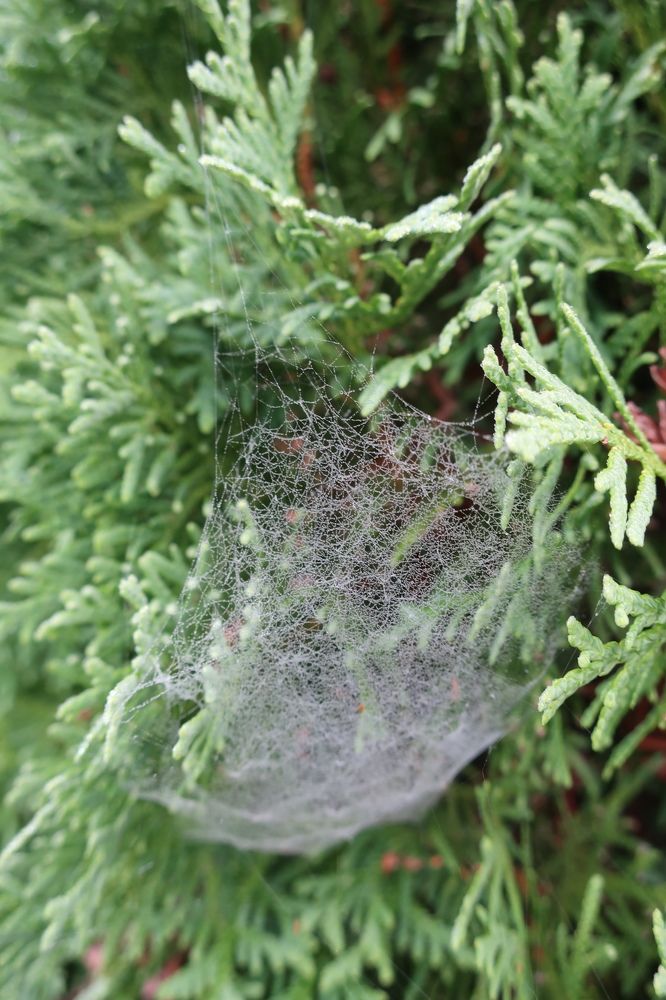 Photograph by Надежда