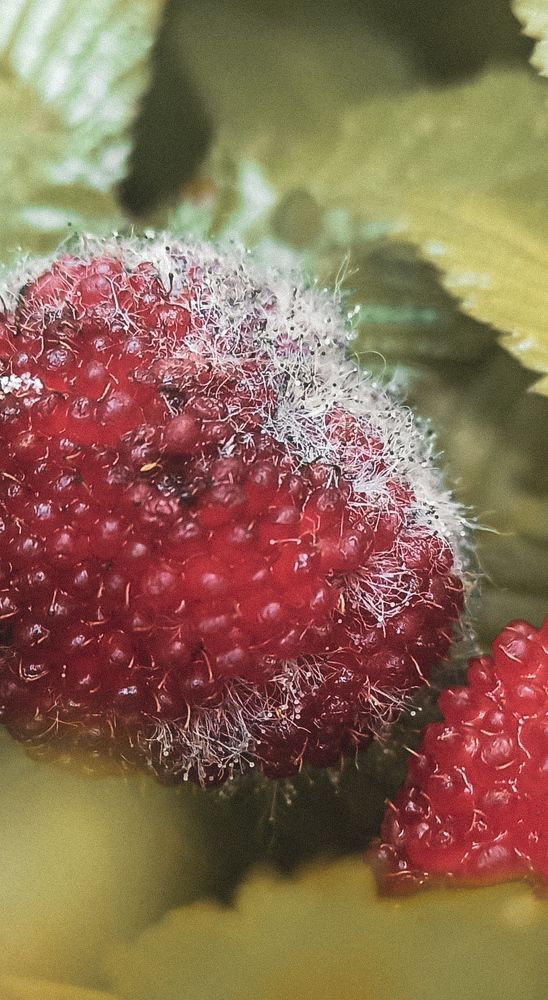 Photograph by Елена Подшевалова