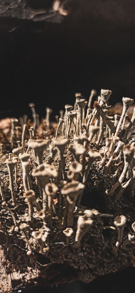 Photograph by Елена Подшевалова