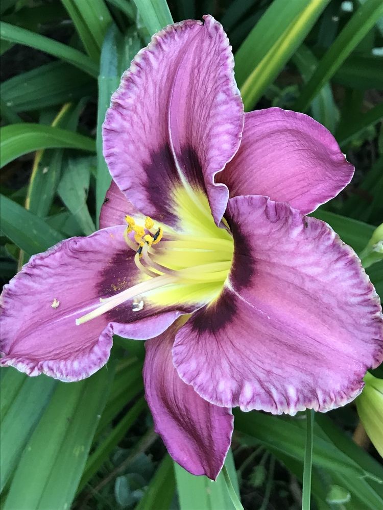 Photograph by Надежда