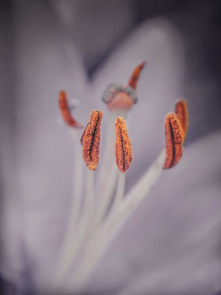 Photograph by Дмитрий Поварков