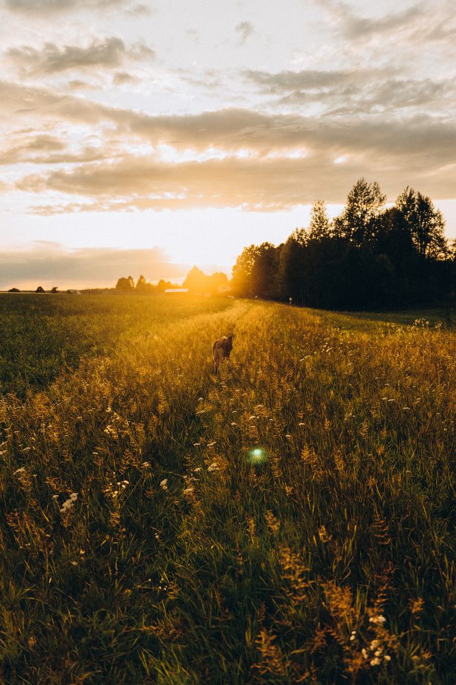 Photograph by Елена Подшевалова