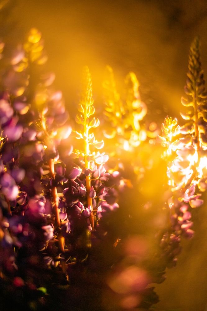 Photograph by Елена Подшевалова