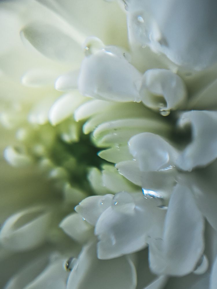Photograph by Анна