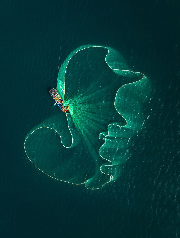 Photograph by Tran Phuong