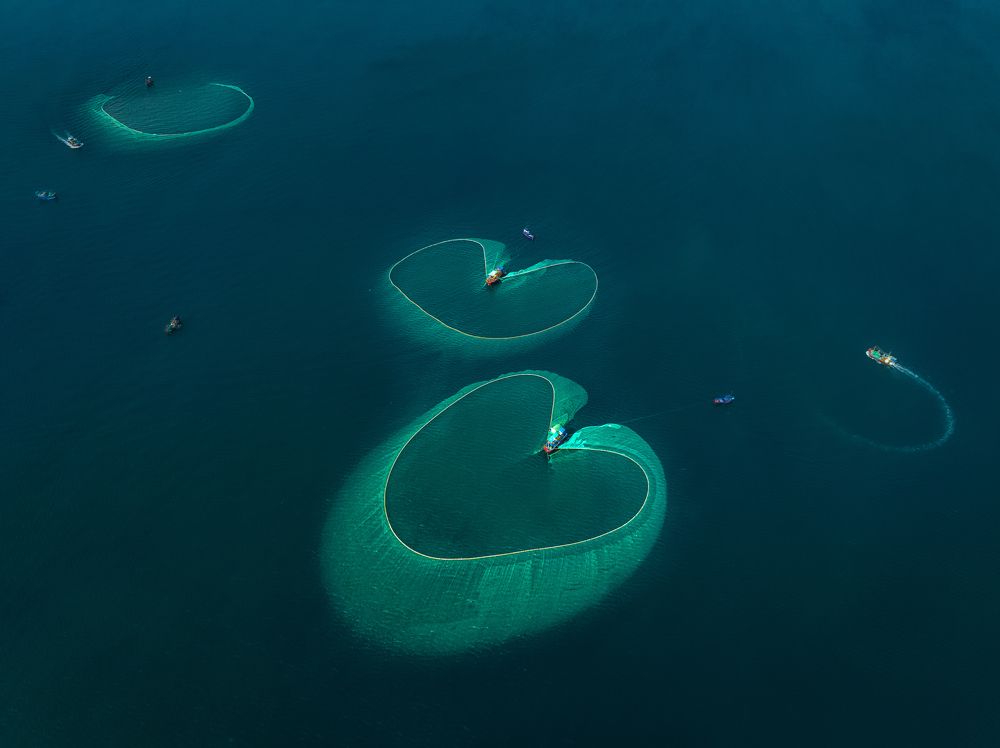 Photograph by Tran Phuong