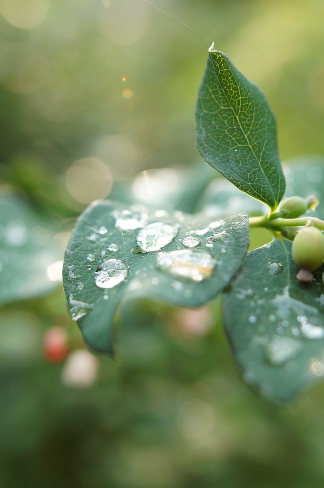 Photograph by Елена Подшевалова