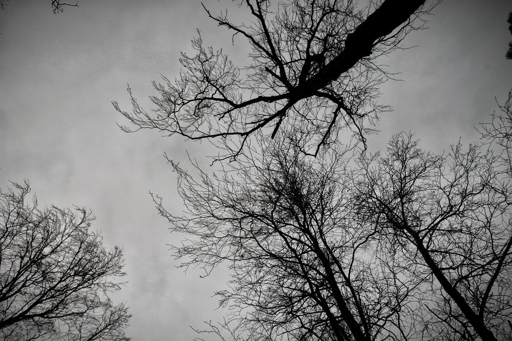 Photograph by Анастасия Чадина