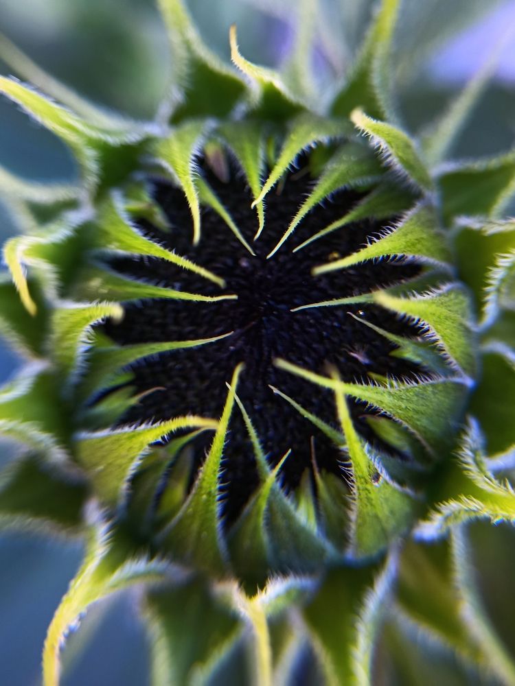 Фотография автора Татьяна Шахова