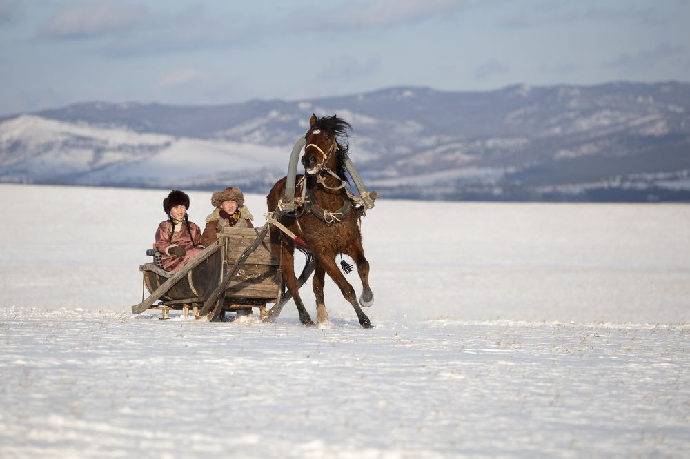 Фотография автора Светлана Барнадаева
