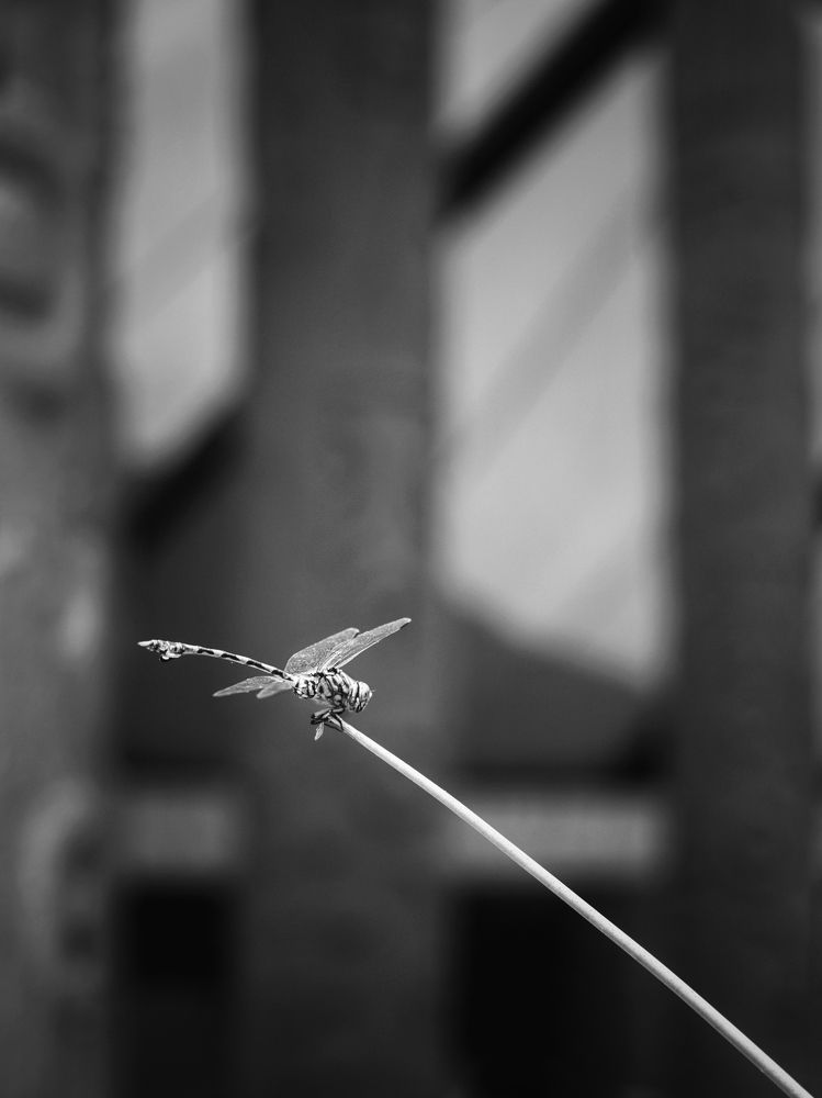 Photograph by Людмила Евстратова