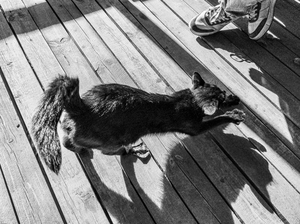 Photograph by Дарья Галиуллина