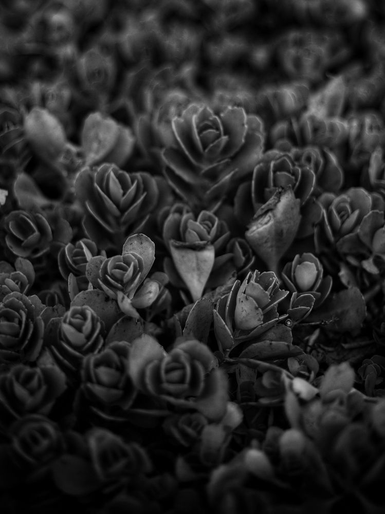 Photograph by Людмила Евстратова