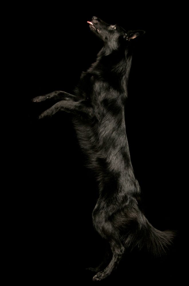 Фотография автора Надежда Лисицына