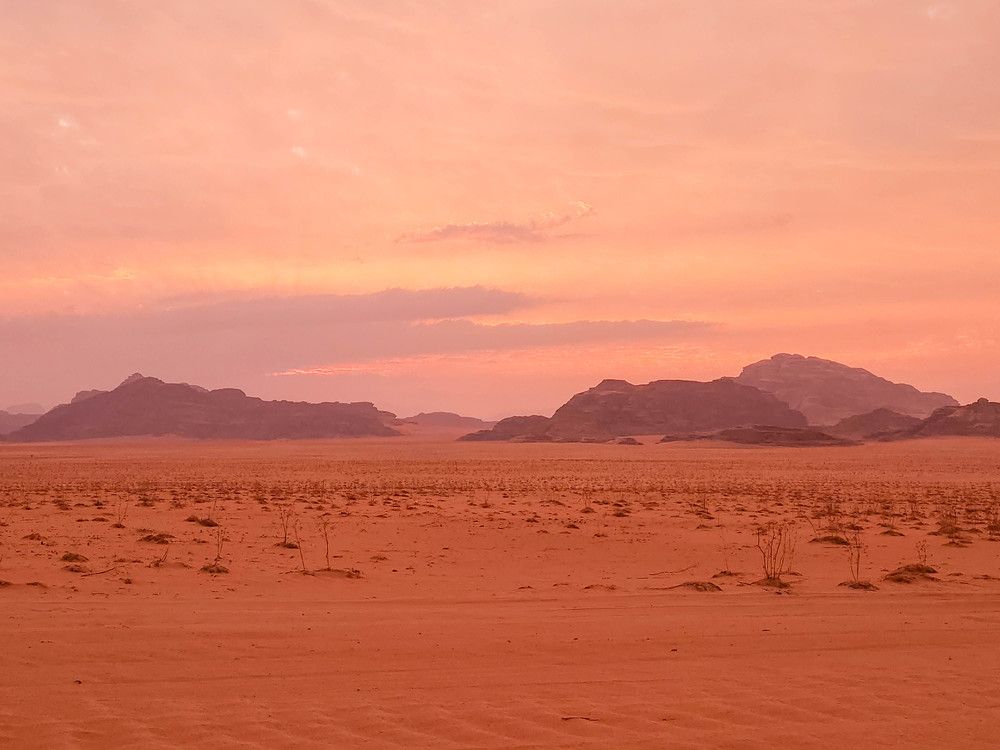 Photograph by esti lahat