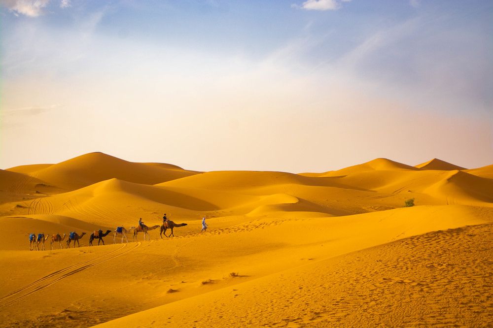 Photograph by esti lahat