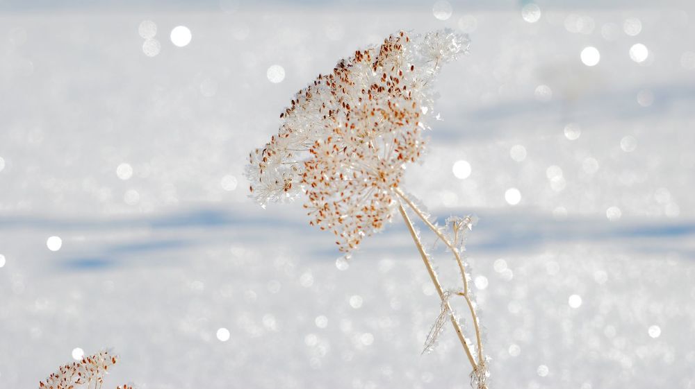 Photograph by Александр Карпенко