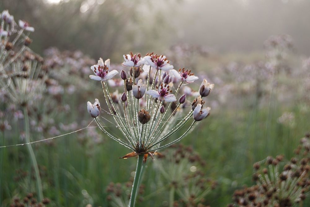 Photograph by Александр Карпенко