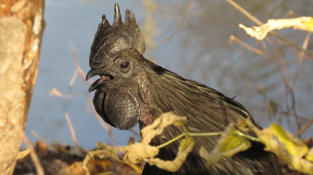 Photograph by Елена Казарина