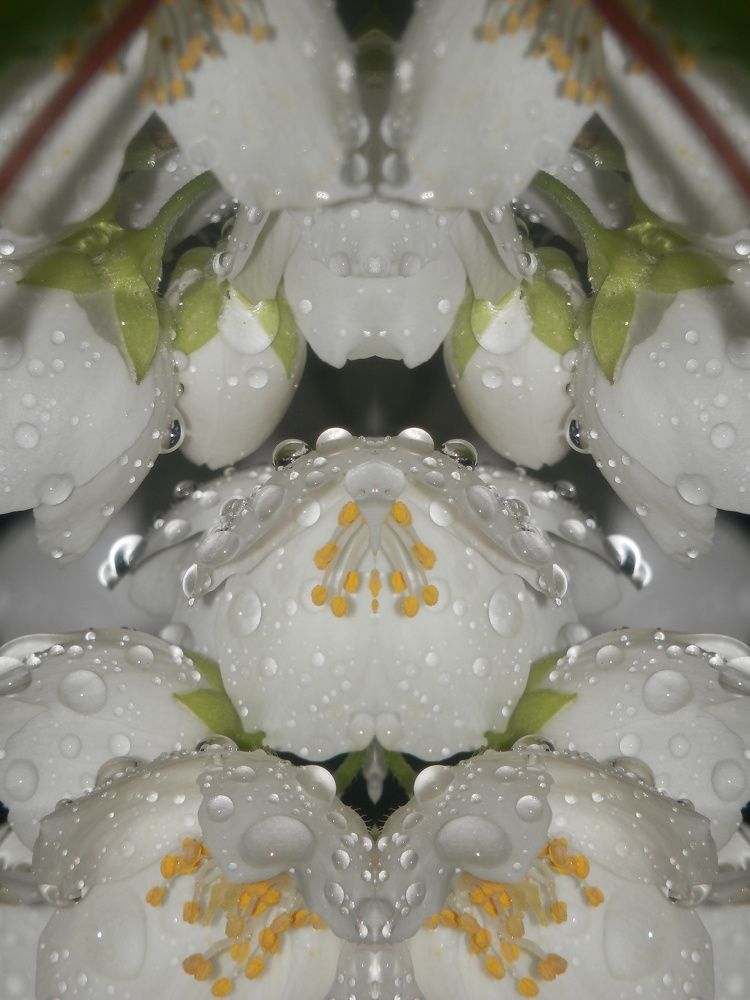 Photograph by Георгий Салюков