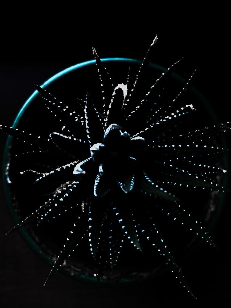 Photograph by Валерия Спирина