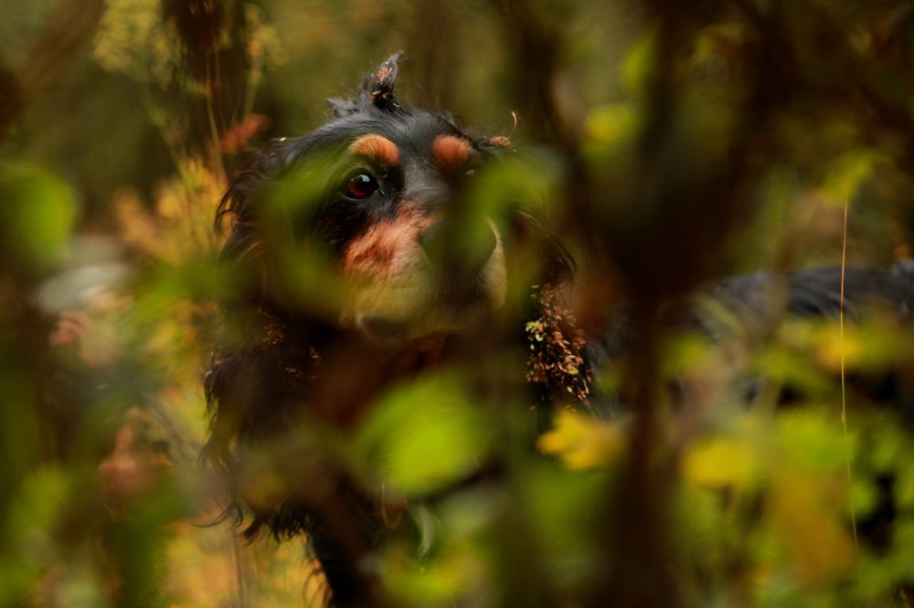 Photograph by Tomiris