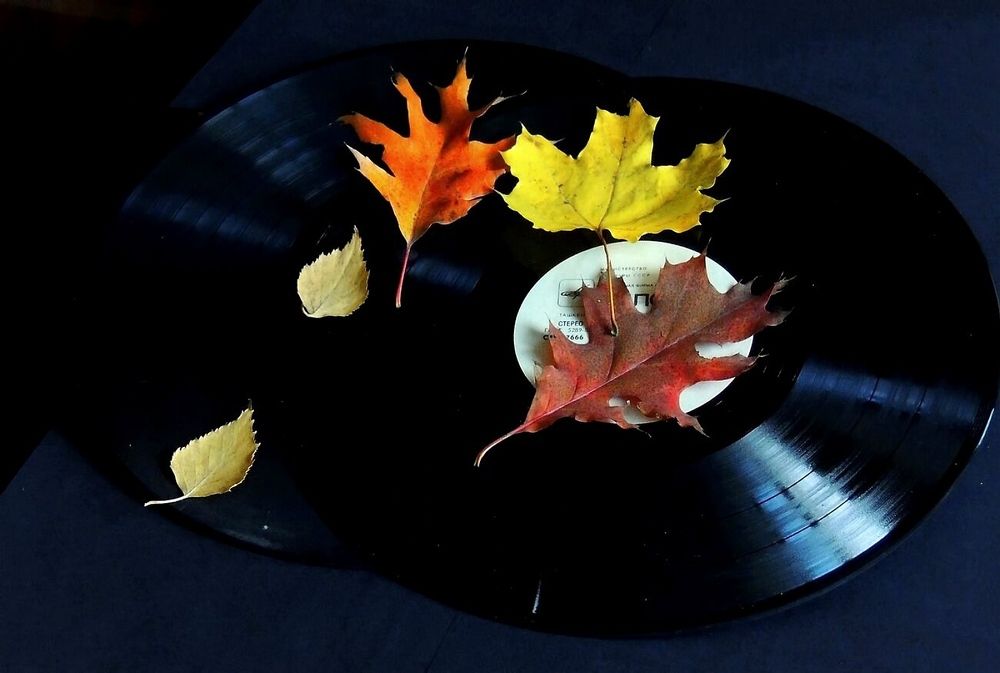 Фотография автора Роман Савоцкий