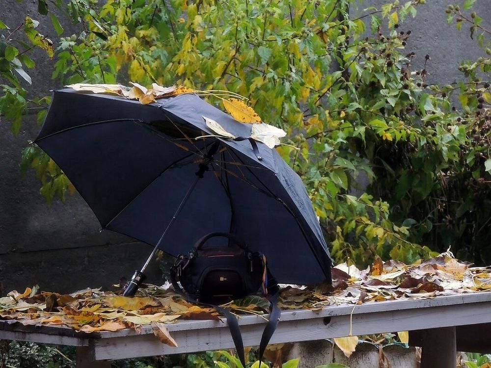 Фотография автора Роман Савоцкий