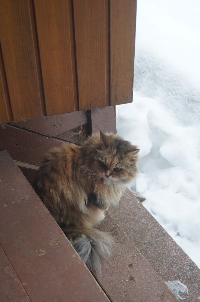 Photograph by Георгий Галкин