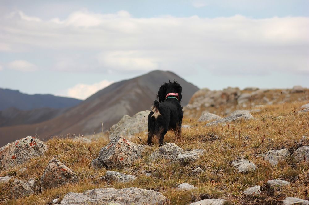 Photograph by Tomiris