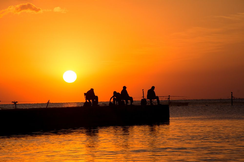 Photograph by Эдуард петрович