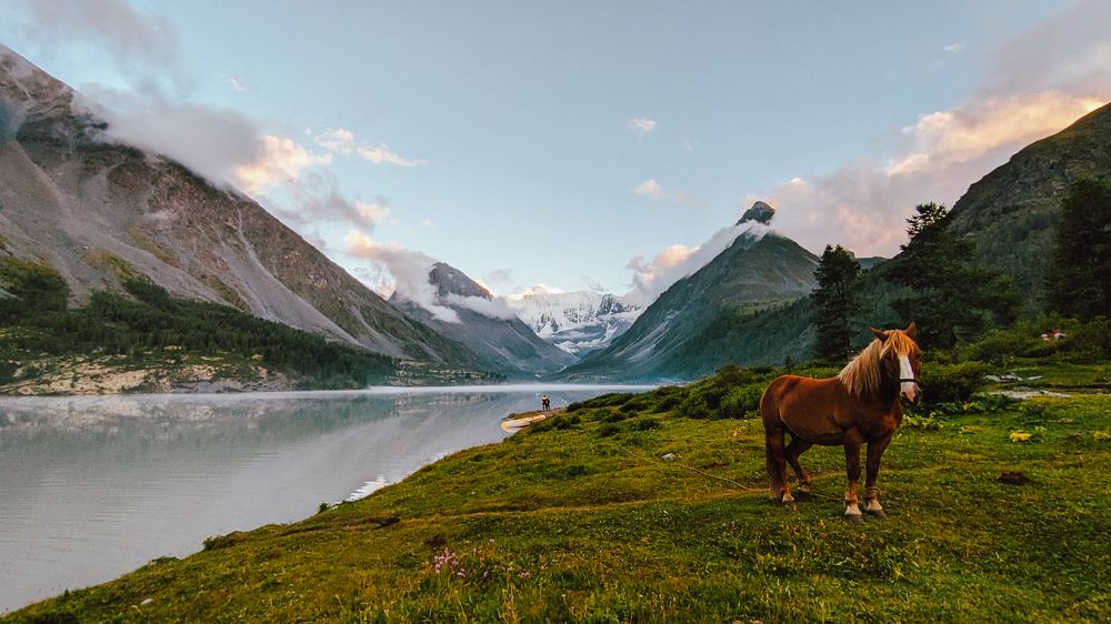 Photograph by Елена Чиркова