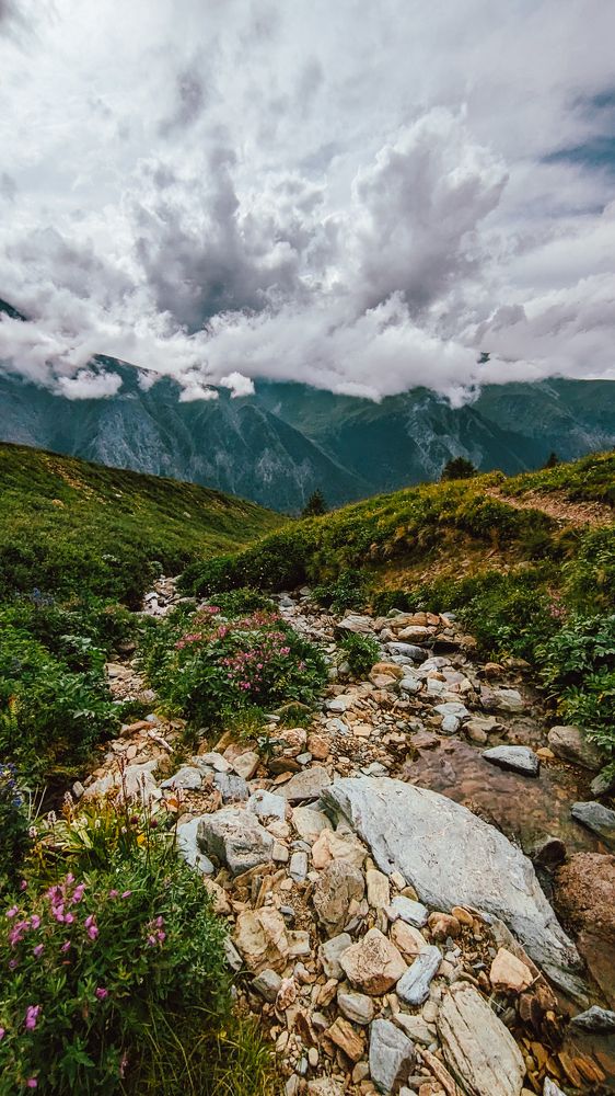 Photograph by Елена Чиркова