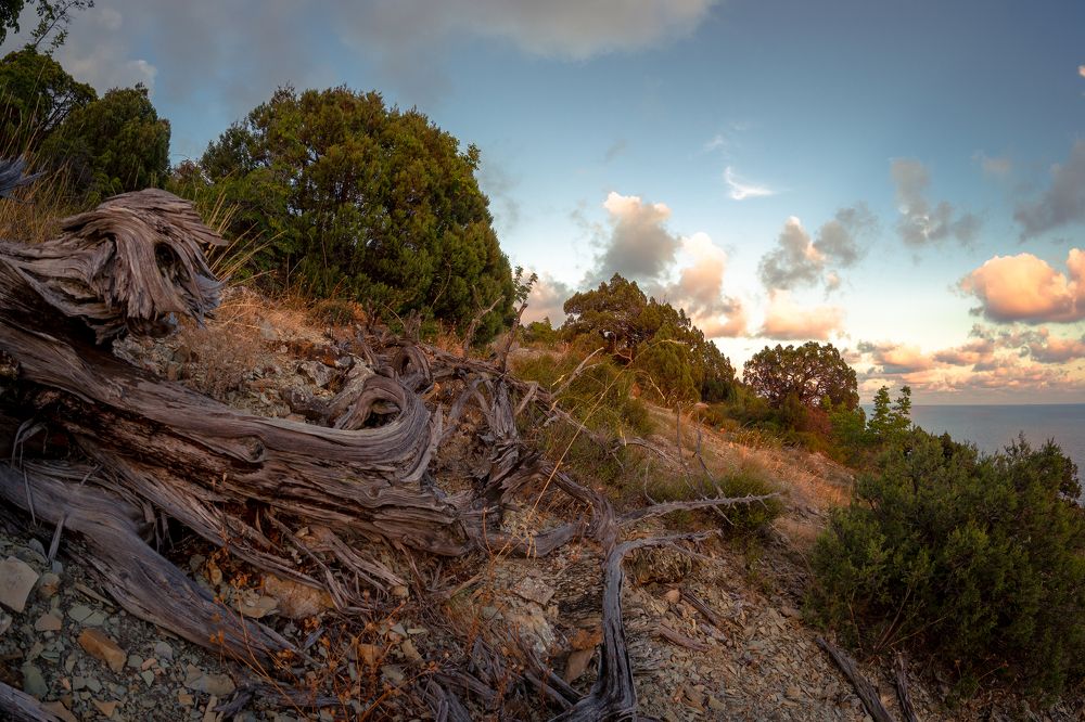 Фотография автора Вадим Коваленко