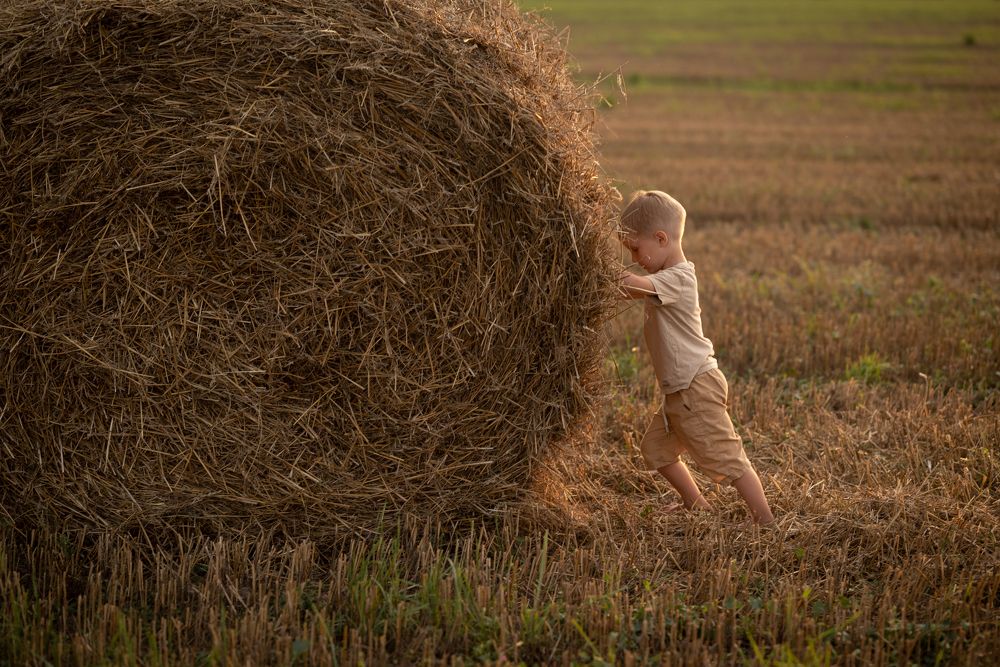 Photograph by Дарья Кончакова