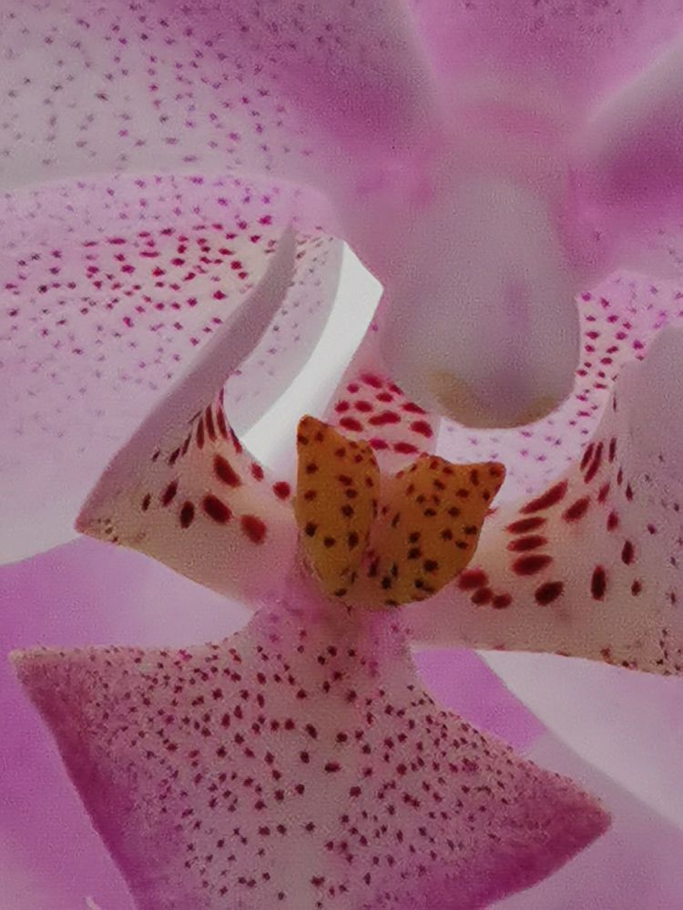 Photograph by Наталья Круглова