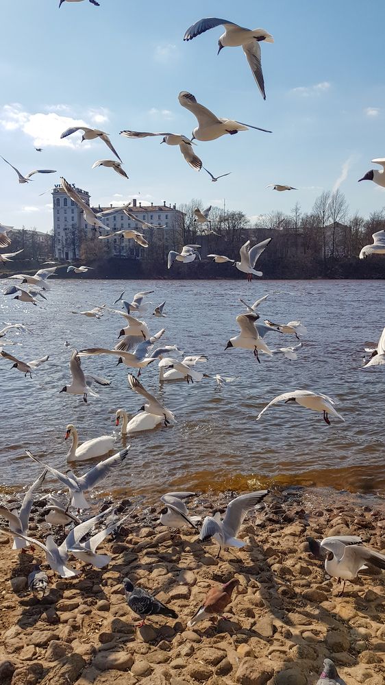 Photograph by Лариса Толкачёва