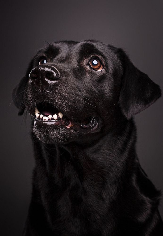 Photograph by Дёгтев Евгений