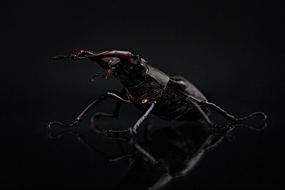 Photograph by Дёгтев Евгений