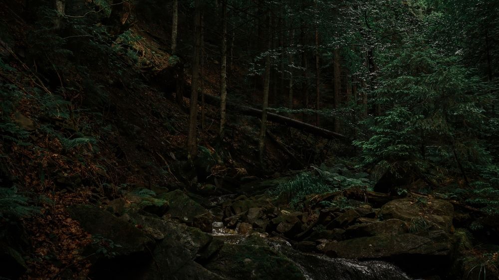 Photograph by Даниил Сырбу